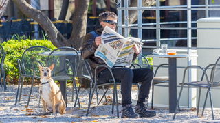 Image 380497 (auto) Image 380497 (auto)