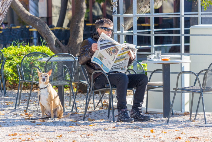 Image 380497 (auto) Image 380497 (auto)