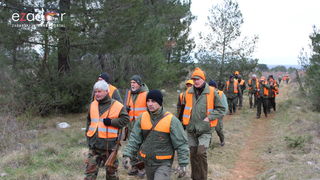 Lovci “Diane” kod Crnog odstrijelili  trinaest lisica i osam čagljeva