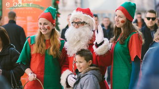 Badnjak u Zadru, 24. prosinca 2017.