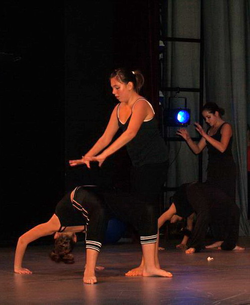 Plesno kazalisna udruga Zalet