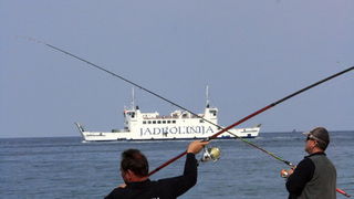 6. Kup Zadarske zupanije u sportskom ribolovu, Foto: Mladen Malik 6. Kup Zadarske zupanije u sportskom ribolovu, Foto: Mladen Malik