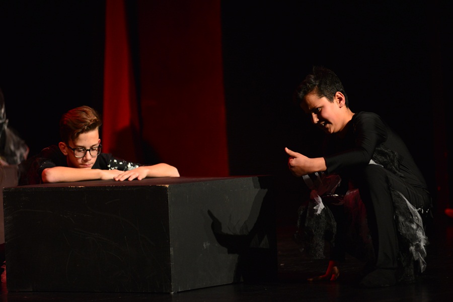 Premijera predstave “U sjeni” udruge “Igrajmo se” Premijera predstave “U sjeni” udruge “Igrajmo se”