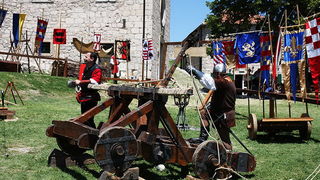 Zvonimirovi dani, Knin 28. i 29. lipnja 2008.