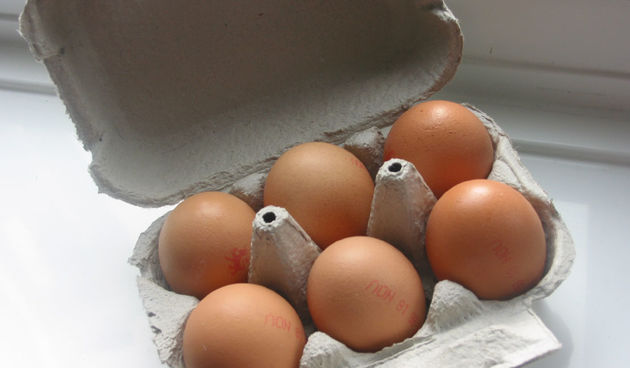 Jaja (Foto: easthants.gov.uk)