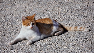 Bonaca ispod Paškog mosta i na otoku Pagu Bonaca ispod Paškog mosta i na otoku Pagu