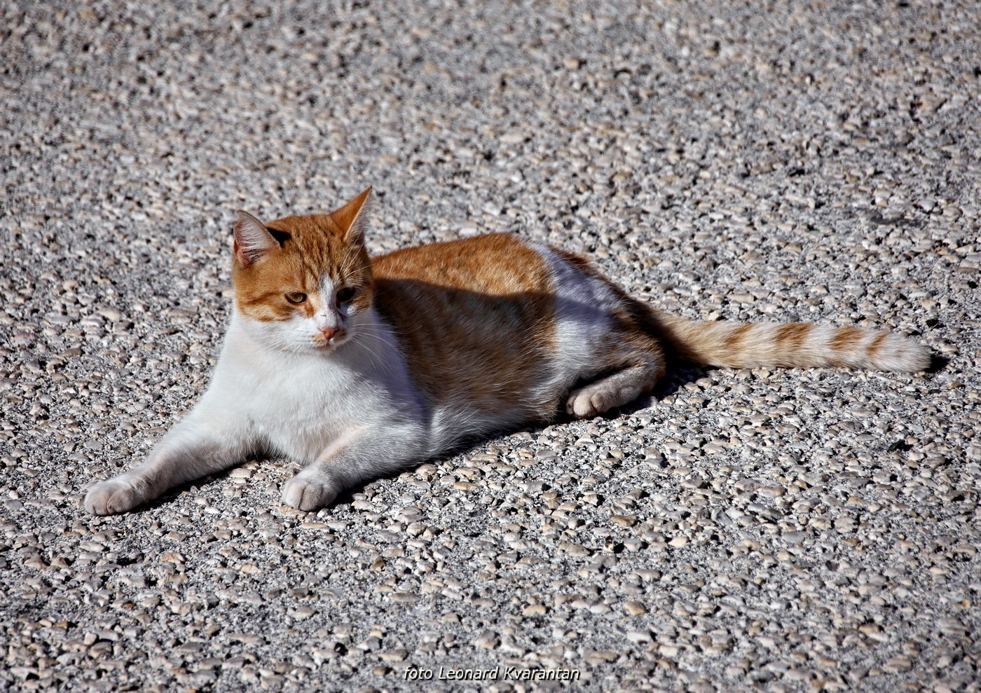 Bonaca ispod Paškog mosta i na otoku Pagu Bonaca ispod Paškog mosta i na otoku Pagu