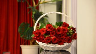 Promocija zbirke “Glagoljicom ispisana ljubav” Promocija zbirke “Glagoljicom ispisana ljubav”