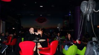 Noćni život u Zadru(foto:Nikolina Mimić Dujmović)