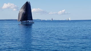 Zadarska Koka 2016. 22. listopada 2016. Foto: Mladen Malik Zadarska Koka 2016. 22. listopada 2016. Foto: Mladen Malik