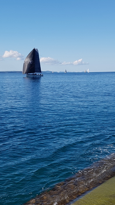 Zadarska Koka 2016. 22. listopada 2016. Foto: Mladen Malik Zadarska Koka 2016. 22. listopada 2016. Foto: Mladen Malik