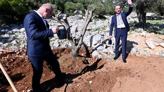 Grlić Radman i veleposlanik Ukrajine posadili maslinu u Perivoju mira