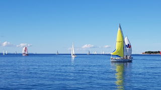 Zadarska Koka 2016. 22. listopada 2016. Foto: Mladen Malik Zadarska Koka 2016. 22. listopada 2016. Foto: Mladen Malik