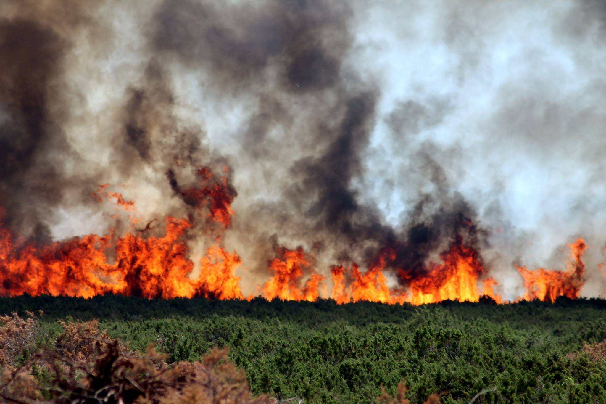 Lokaliziran požar kod Košljuna na otoku Pagu Lokaliziran požar kod Košljuna na otoku Pagu