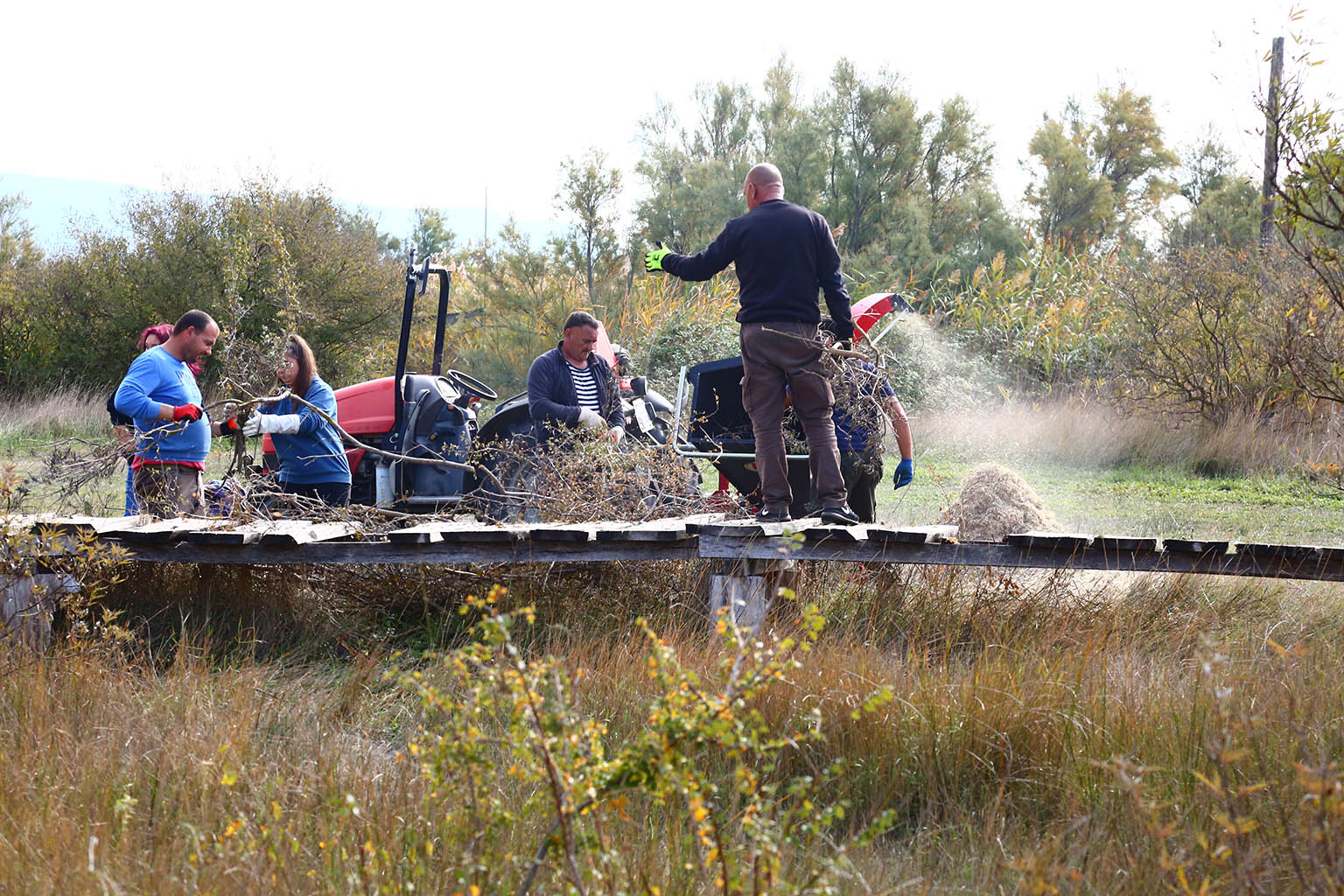 Na Vranskom jezeru održana akcija krčenja vegetacije Na Vranskom jezeru održana akcija krčenja vegetacije
