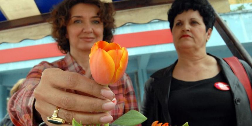 05.04.2014., Slavonski Brod – Clanice Socijaldemokratskog foruma zena obiljezile “Dan tulipana” i organizirale humanitarnu akciju prodaje tulipana pod nazivom “Omiljeni cvijet Ane Rukavine”. Photo: Ivica Galovic/PIXSELL 05.04.2014., Slavonski Brod – Clanice Socijaldemokratskog foruma zena obiljezile “Dan tulipana” i organizirale humanitarnu akciju prodaje tulipana pod nazivom “Omiljeni cvijet Ane Rukavine”. Photo: Ivica Galovic/PIXSELL