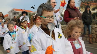 Virski karnevalić 2016. Virski karnevalić 2016.