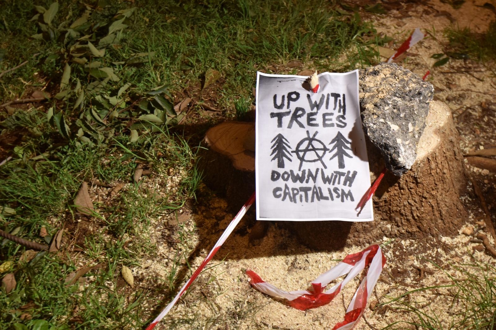 Prosvjed građana zbog odluke Grada da posječe drvored fafarikula u Vruljici Prosvjed građana zbog odluke Grada da posječe drvored fafarikula u Vruljici