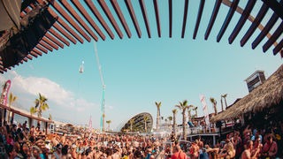 Papaya, Zrće: Barrakud festival