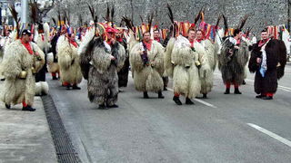 Karnevalska povorka 2012, Foto: Leonard Kvarantan Karnevalska povorka 2012, Foto: Leonard Kvarantan