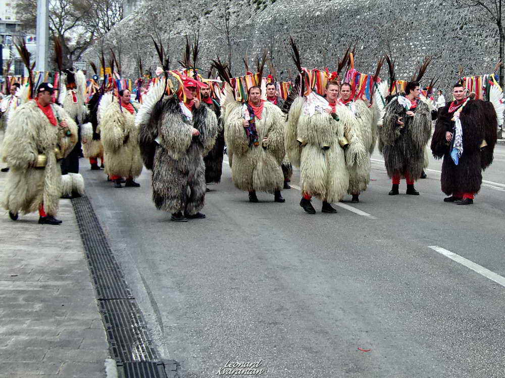 Karnevalska povorka 2012, Foto: Leonard Kvarantan Karnevalska povorka 2012, Foto: Leonard Kvarantan