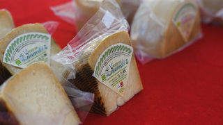 Agro sajam u sklopu projekta PESCAR na zadarskom Forumu