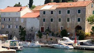 Ošljak (foto: Antonija Gospić) Ošljak (foto: Antonija Gospić)