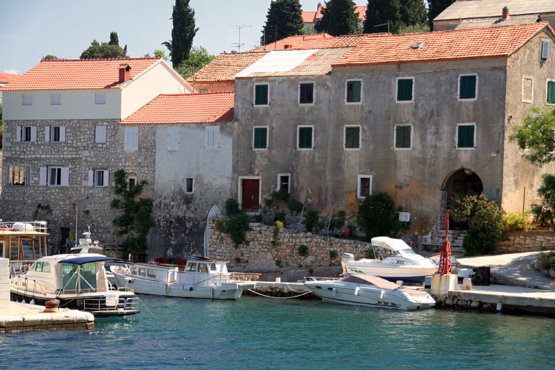 Ošljak (foto: Antonija Gospić) Ošljak (foto: Antonija Gospić)