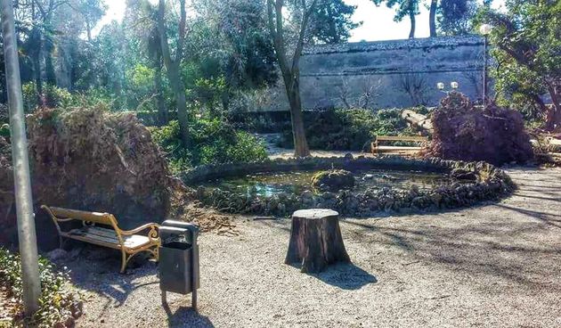 Bura srušila dva ogromna stabla u parku Vladimira Nazora, Foto: Marija Cvetković