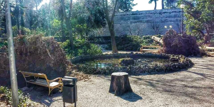 Bura srušila dva ogromna stabla u parku Vladimira Nazora, Foto: Marija Cvetković Bura srušila dva ogromna stabla u parku Vladimira Nazora, Foto: Marija Cvetković