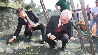 Zadar, 031010.
Predsjednik Hrvatske Ivo Josipovic posjetio je mjesto Lun na otoku Pagu.Obisao je sari maslinik i uljaru Lun Zeljimira Badurine.
Na fotografiji : predsjednik u masliniku skuplja masline.
Foto : Vladimir Ivanov / CROPIX