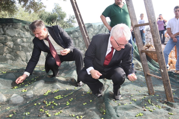 Zadar, 031010.
Predsjednik Hrvatske Ivo Josipovic posjetio je mjesto Lun na otoku Pagu.Obisao je sari maslinik i uljaru Lun Zeljimira Badurine.
Na fotografiji : predsjednik u masliniku skuplja masline.
Foto : Vladimir Ivanov / CROPIX