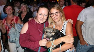 Koncert Željka Bebeka na Viru