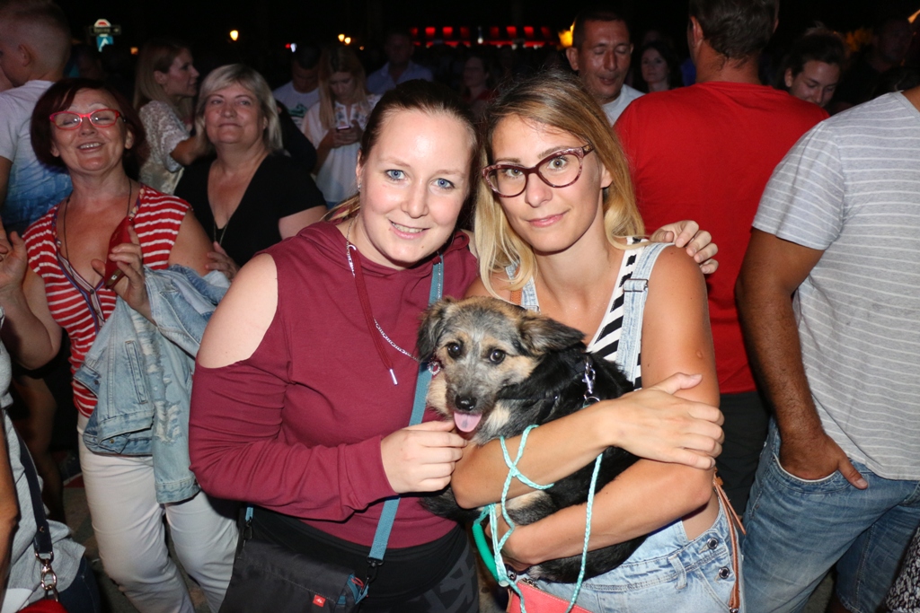 Koncert Željka Bebeka na Viru