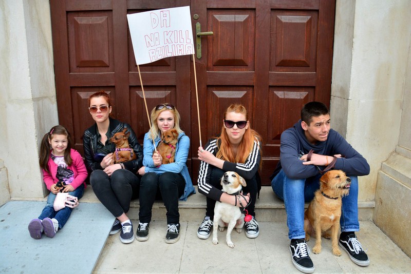 Skup podrške za NO KILL skloništa za životinje,  foto Iva Perinčić
