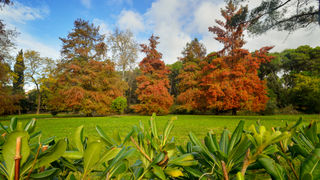Jesenski đir po gradu, 15. studenog 2014. , foto: Marin Pitton Jesenski đir po gradu, 15. studenog 2014. , foto: Marin Pitton