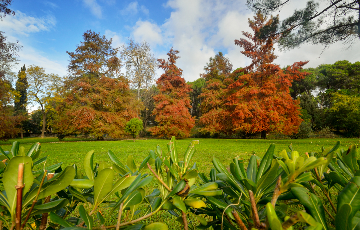 Jesenski đir po gradu, 15. studenog 2014. , foto: Marin Pitton Jesenski đir po gradu, 15. studenog 2014. , foto: Marin Pitton