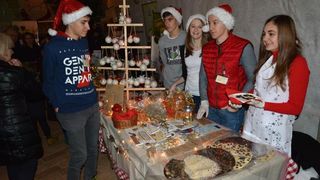 Božićna priča obitelji Salaj s rekordnih 1,88 milijuna lampica. Foto: Damir Špehar/PIXSELL