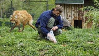 Zagreb, 080412.
U Zooloskom vrtu grada Zagreba neke od zivotinja tradicionalno su bile pocascene uskrsnim jajima. U sarenim pisanicama uzivali su lemuri, smedji kapucini, nosati rakuni, grivasti vukovi i ogrlicaste pekarije.
Na fotografiji: Djelatnici pos Zagreb, 080412.
U Zooloskom vrtu grada Zagreba neke od zivotinja tradicionalno su bile pocascene uskrsnim jajima. U sarenim pisanicama uzivali su lemuri, smedji kapucini, nosati rakuni, grivasti vukovi i ogrlicaste pekarije.
Na fotografiji: Djelatnici pos