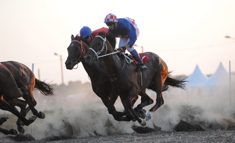 Zadar, 200811.
U Polaci na hipodromu Ravni kotari odrzane su 
14. Medjunarodne galopske konjicke utrke “Oluja 95”. 
Foto: Andrija Lucic / CROPIX