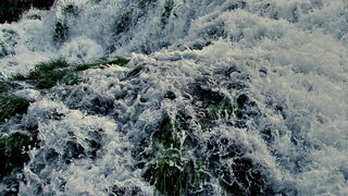 Nedjeljni izlet u Nacionalni park Krka Nedjeljni izlet u Nacionalni park Krka