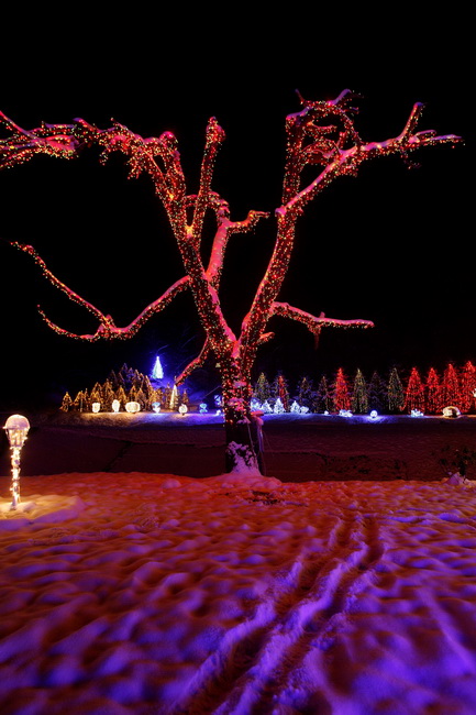 Cazma, 161209.
Grabovnica pokraj Cazme – Bozicna prica obitelji Salaj.
Zlatko Salaj ukrasio je i ove godine cijelo imanje s oko 1 milijun lampica. 
Za posjetitelje ce imanje biti otvoreno od subote 19.12. – 06. sijecnja od 17 h -21h.
Foto: Goran Mehkek /