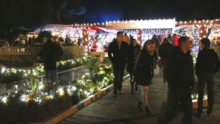 Virani 2016. godinu dočekali uz Lidiju Bačić, Leteći odred i spektakularan vatromet Virani 2016. godinu dočekali uz Lidiju Bačić, Leteći odred i spektakularan vatromet