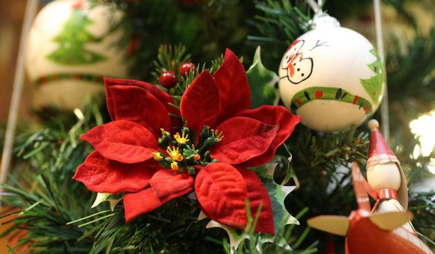 8.11.2013., Split – Pocela prodaja bozicnih aranzmana i ukrasa za jelke. Photo: Ivo Cagalj/PIXSELL Autor  Ivo Cagalj/PIXSELL KLJUČNE RIJEČI  advent, blagdani, ukras, ilustracije, u