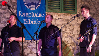 Raspivano Bibinje: 35. tradicionalni susret klapa