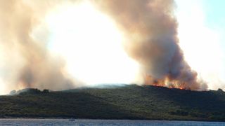 Image 1177183 (auto)