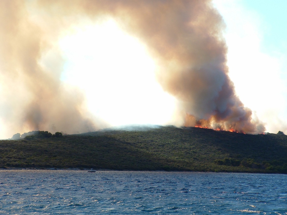 Image 1177183 (auto)