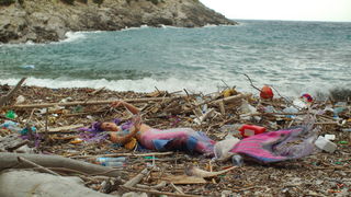 Mljet: Nasukana morska sirena Mljet: Nasukana morska sirena