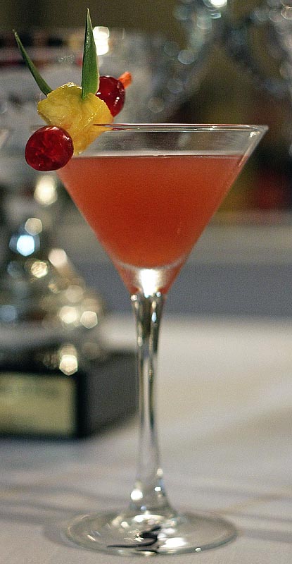 Havana Cup 2009. – 15. regionalno natjecanje barmena (foto: Marin Gospić)