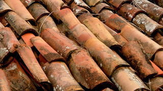 Image 1190431 (auto)